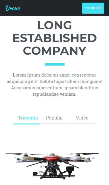 【视频教程】详细的在线短信轰炸软件